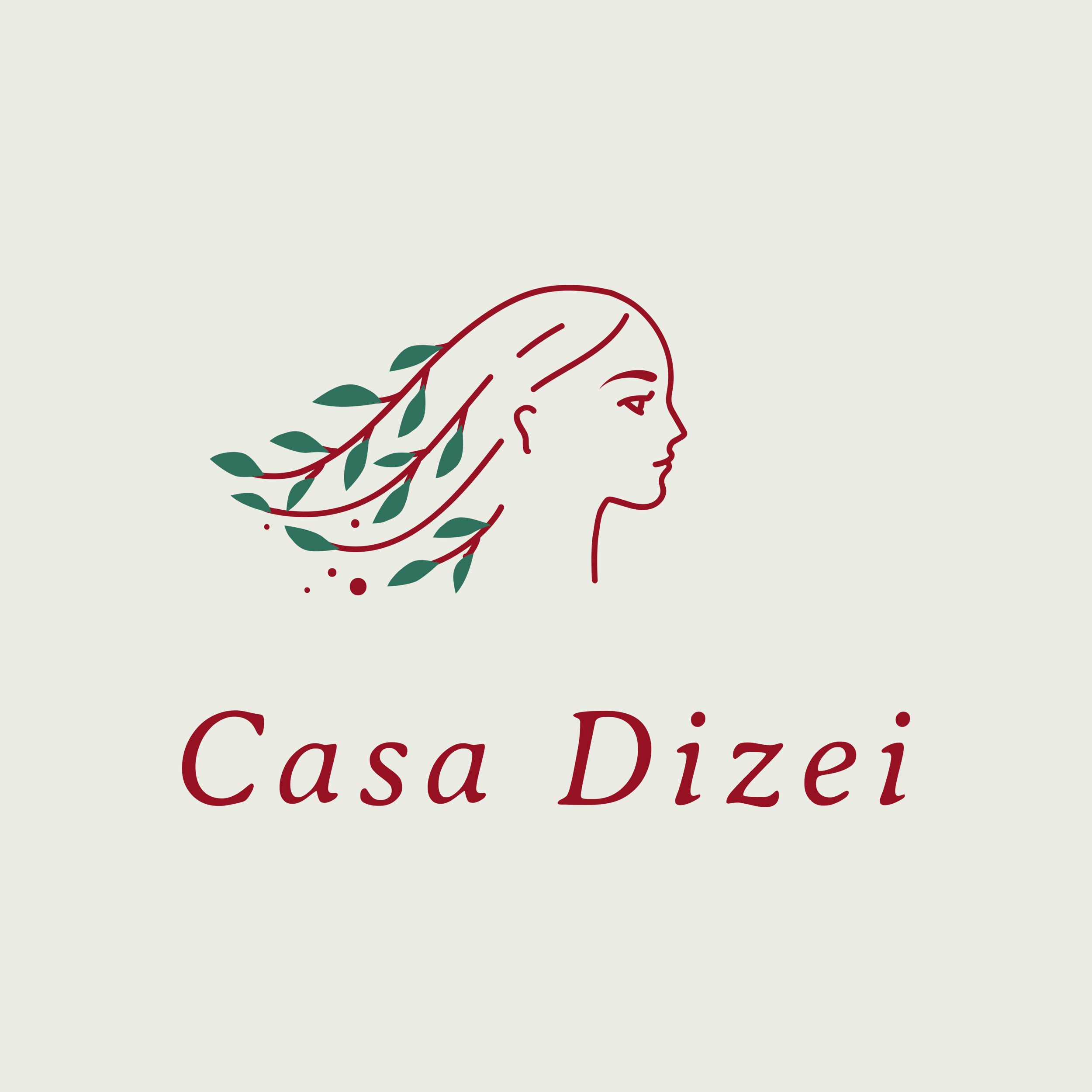 Casa Dizei